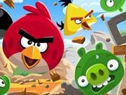 Hungry Angry Birds