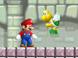 <b>Mario Hero</b>