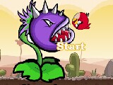 Angrybirds Vs Plants